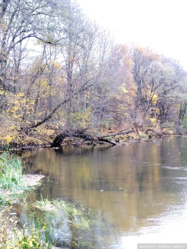 Про Нафочку. Ноябрь уж наступил