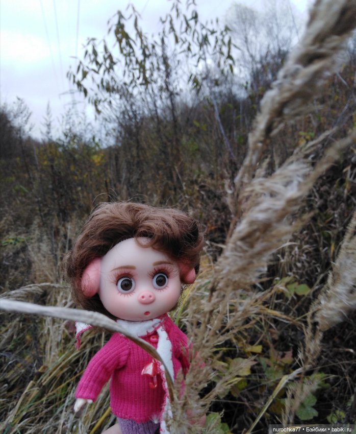 Про Нафочку. Ноябрь уж наступил