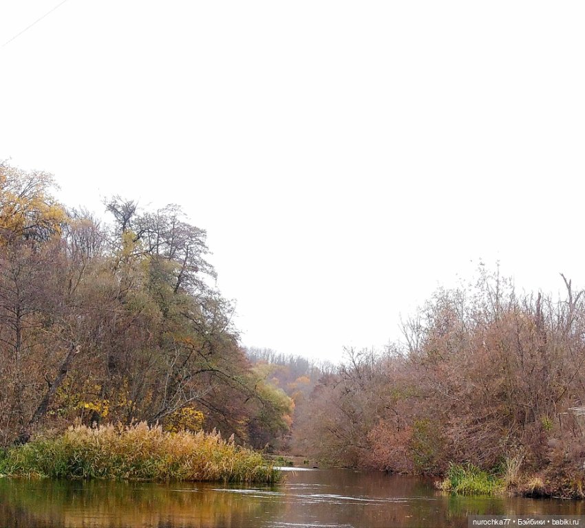 Про Нафочку. Ноябрь уж наступил (фото 4)