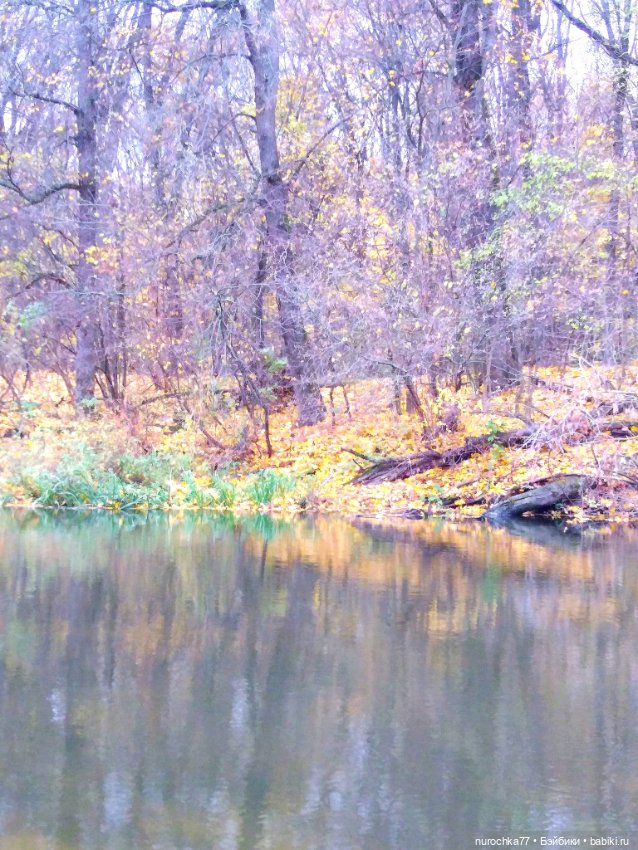 Про Нафочку. Ноябрь уж наступил