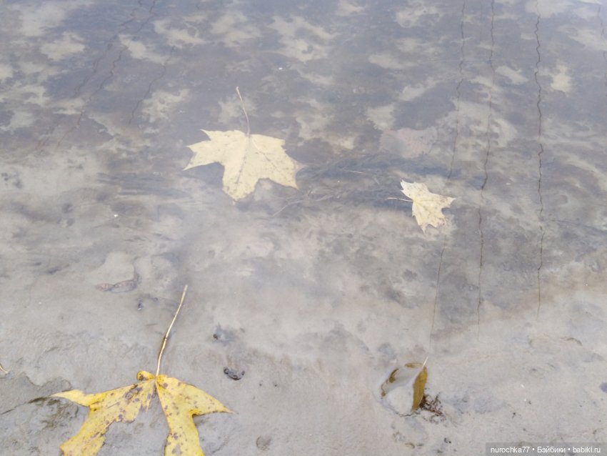 Кот выходит на тропу — Интересные игрушки и фигурки (разное): редкие (фото 10)