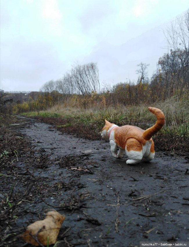 Кот выходит на тропу — Интересные игрушки и фигурки (разное): редкие (фото 2)