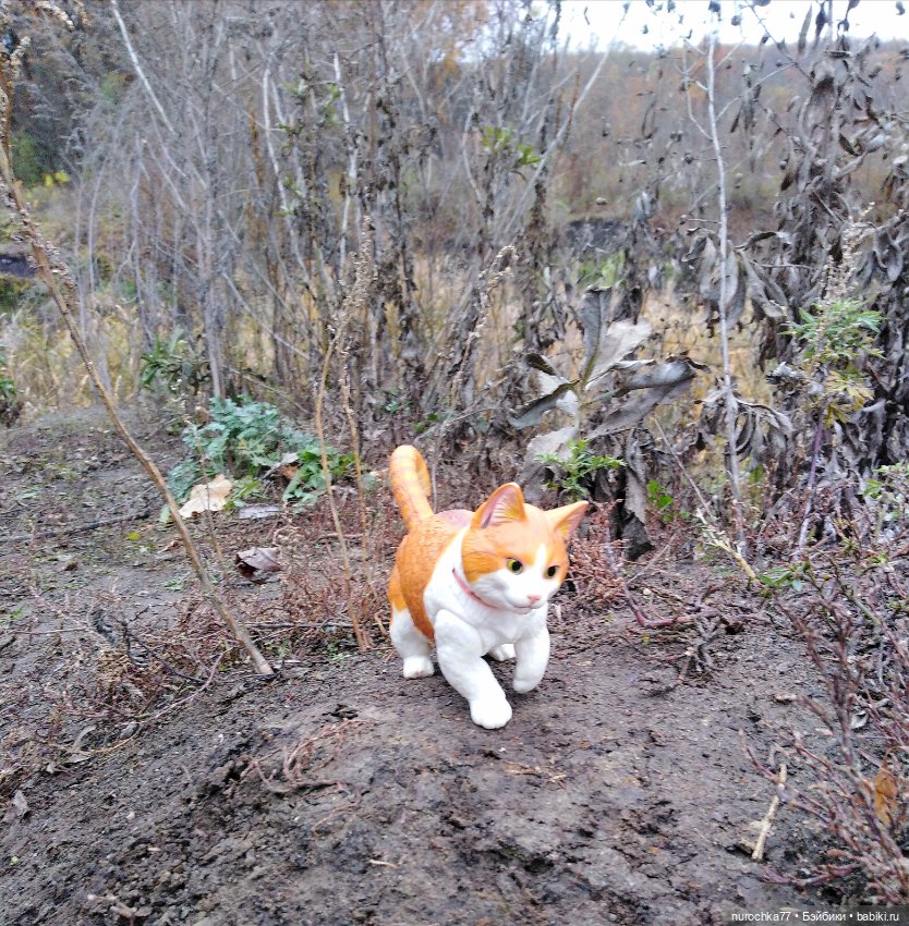 Кот выходит на тропу — Интересные игрушки и фигурки (разное): редкие (фото 3)