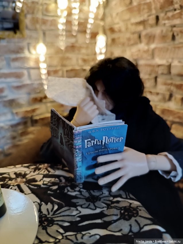 Литературный запой магистра Нордленда