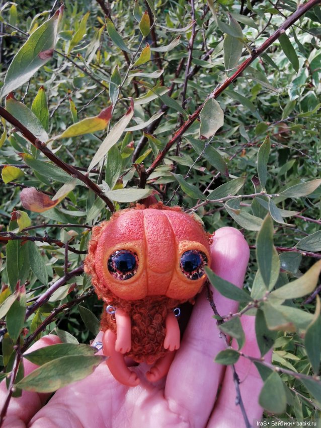 Прогулки золотой осени 🍁 — Домашние коллекции кукол: фото собраний