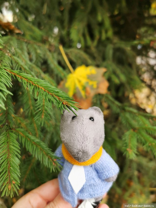 Прогулки золотой осени 🍁 — Домашние коллекции кукол: фото собраний