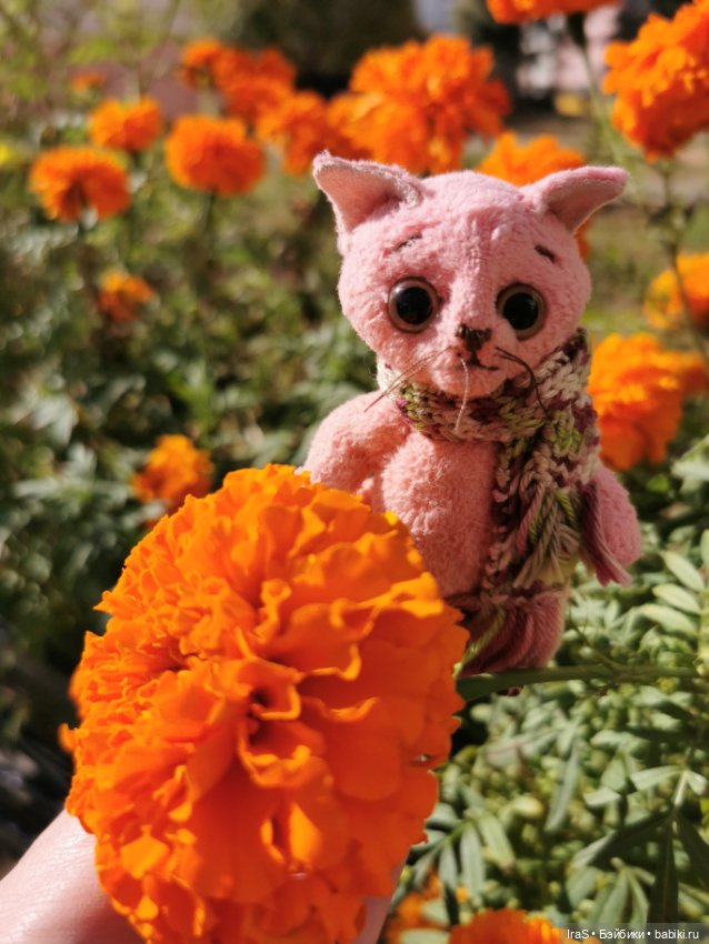 Прогулки золотой осени 🍁 — Домашние коллекции кукол: фото собраний