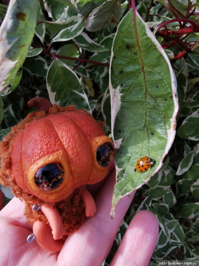 Прогулки золотой осени 🍁 — Домашние коллекции кукол: фото собраний