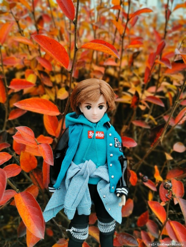 Прогулки золотой осени 🍁 — Домашние коллекции кукол: фото собраний