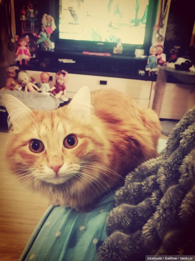 Немного уюта, кукол и вязаных нарядов (фото 7)