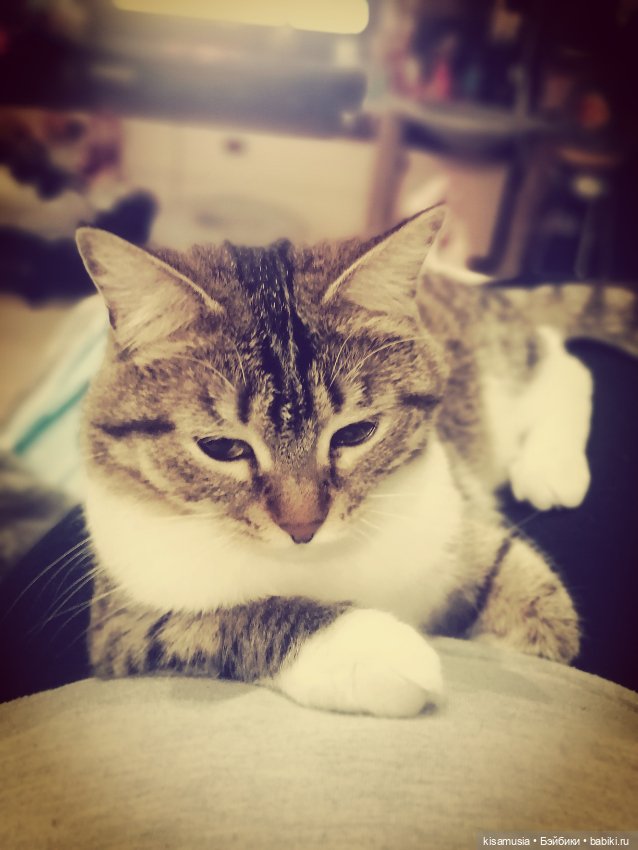 Немного уюта, кукол и вязаных нарядов