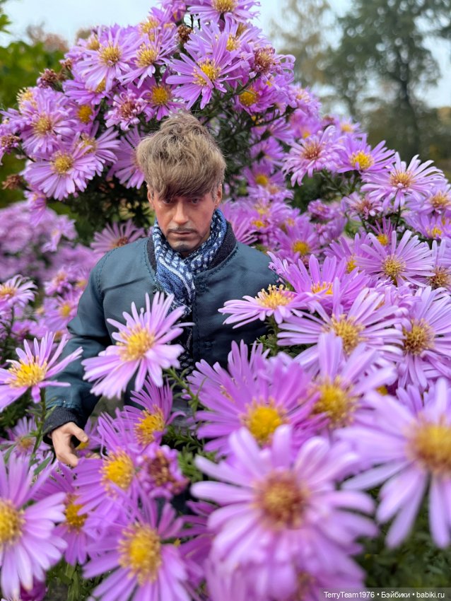 Тони Старк: Балтийская осень. Тыквы, каменюки и коряги