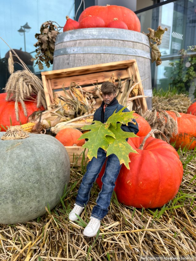 Тони Старк: Балтийская осень. Тыквы, каменюки и коряги