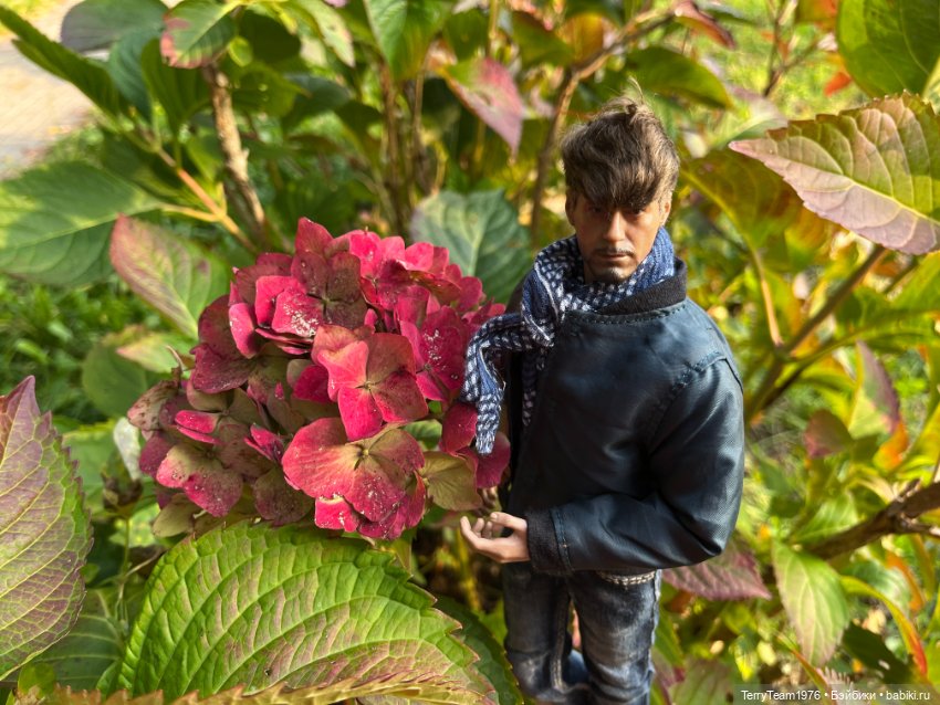 Тони Старк: Балтийская осень. Тыквы, каменюки и коряги