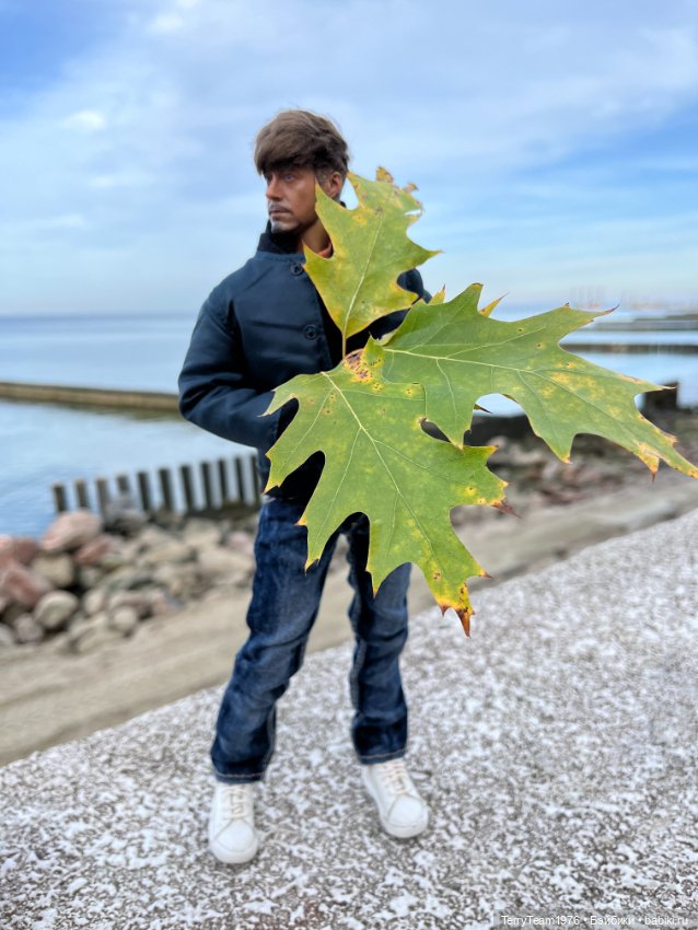 Тони Старк: Балтийская осень. Тыквы, каменюки и коряги