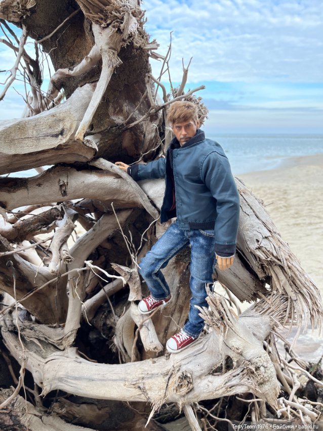 Тони Старк: Балтийская осень. Тыквы, каменюки и коряги (фото 7)