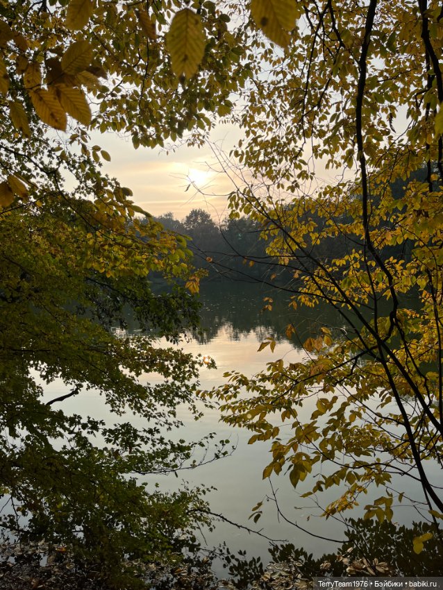 Тони Старк: Балтийская осень. Тыквы, каменюки и коряги