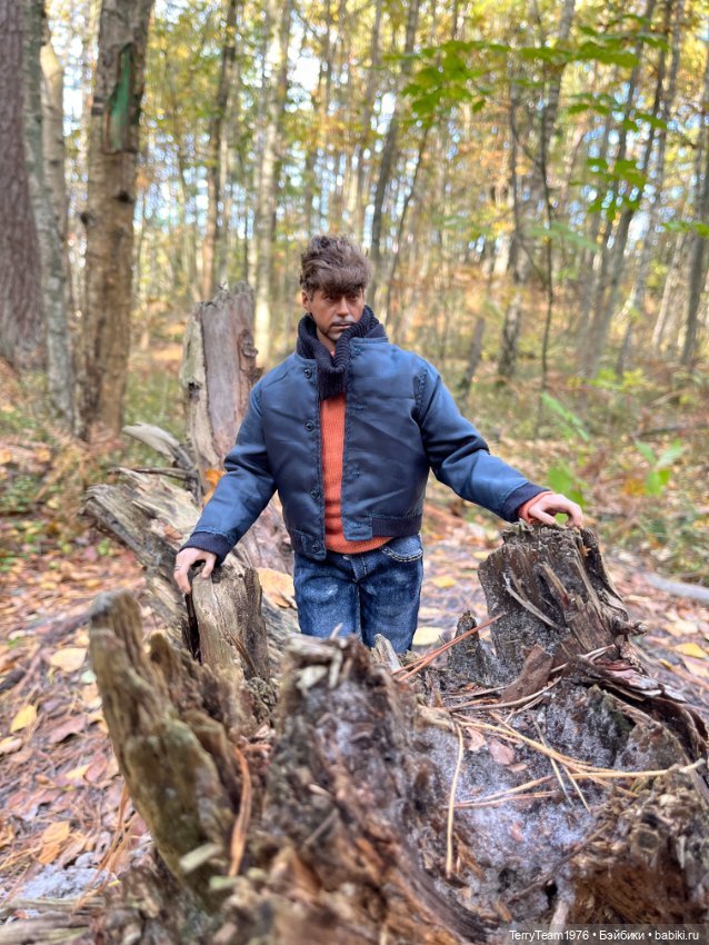 Тони Старк: Балтийская осень. Тыквы, каменюки и коряги