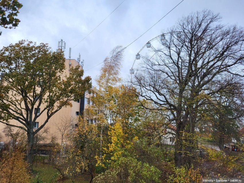 Ночь Дикой охоты — Домашние фото авторских кукол: личные коллекции (фото 5)