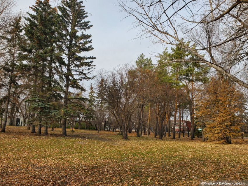 У озера — Куклы Sasha Morgenthaler (Саша Моргенталер): Trendon (фото 8)