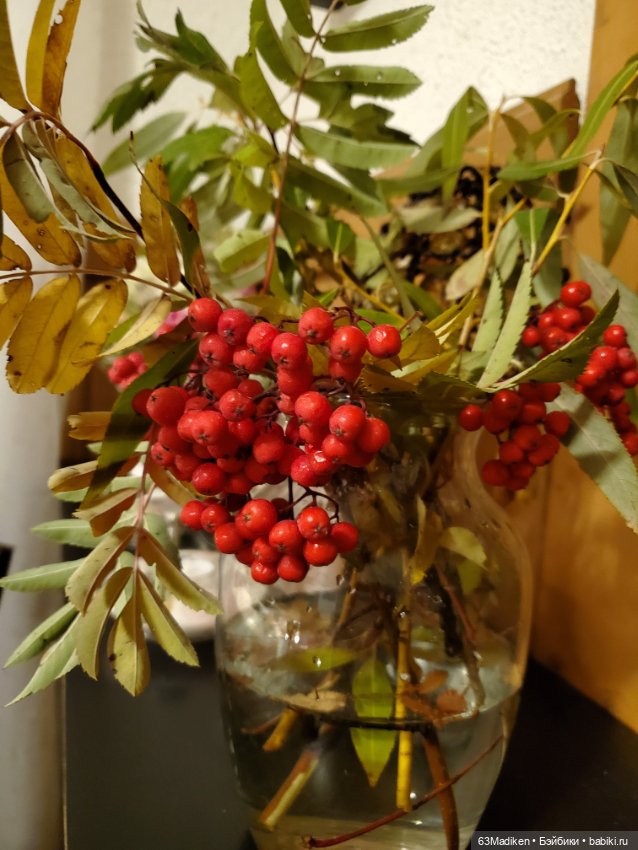 У озера — Куклы Sasha Morgenthaler (Саша Моргенталер): Trendon (фото 9)