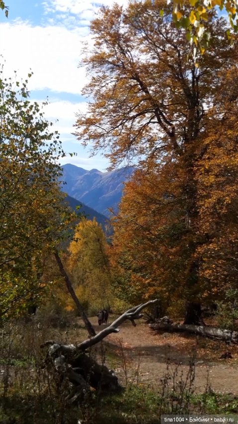 ИЗ ЖИЗНИ КУКОЛ Как они отдыхают Архыз осенью