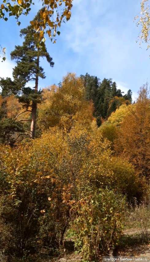 ИЗ ЖИЗНИ КУКОЛ Как они отдыхают Архыз осенью