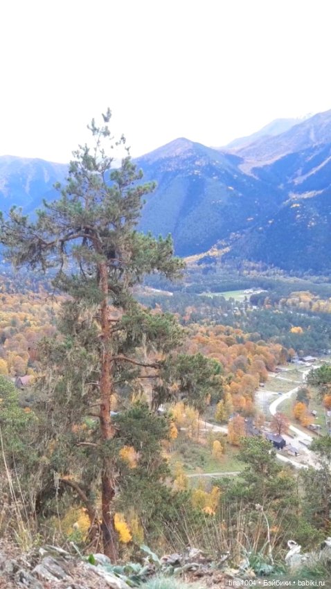 ИЗ ЖИЗНИ КУКОЛ Как они отдыхают Архыз осенью (фото 9)