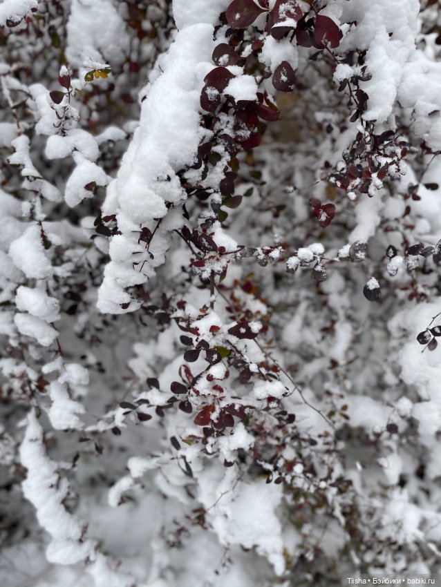 Первый снег (Бриана от Only Hearts Club)