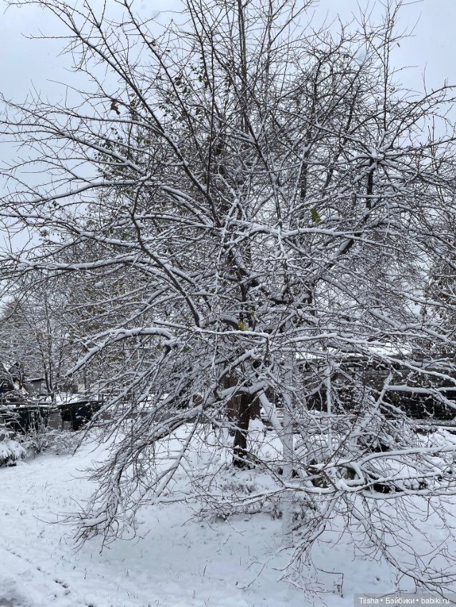 Первый снег (Бриана от Only Hearts Club)