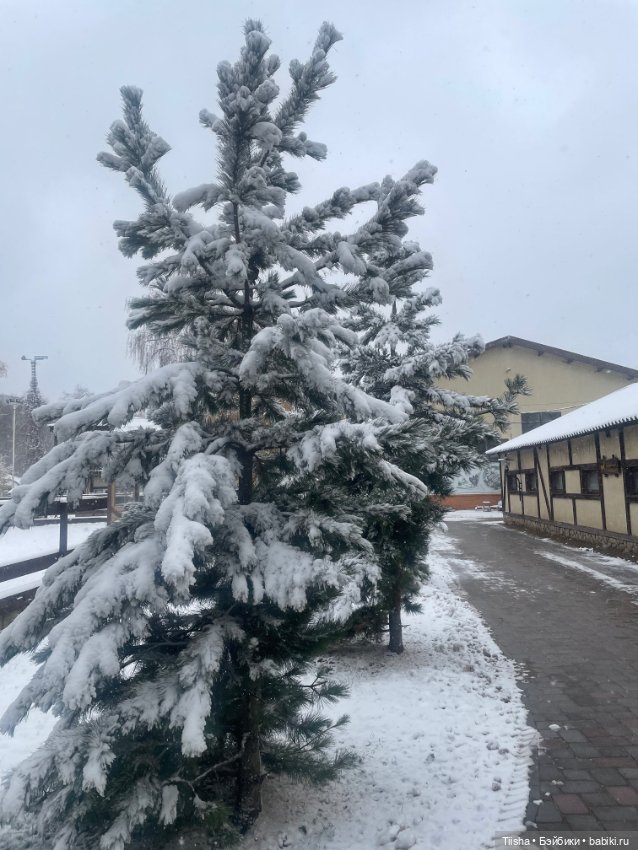 Первый снег (Бриана от Only Hearts Club)