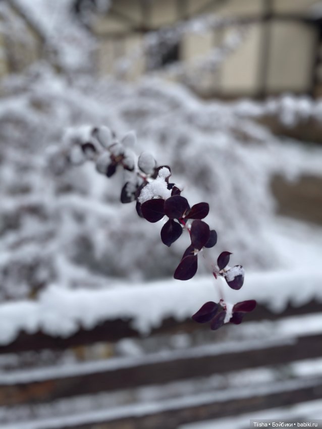 Первый снег (Бриана от Only Hearts Club)