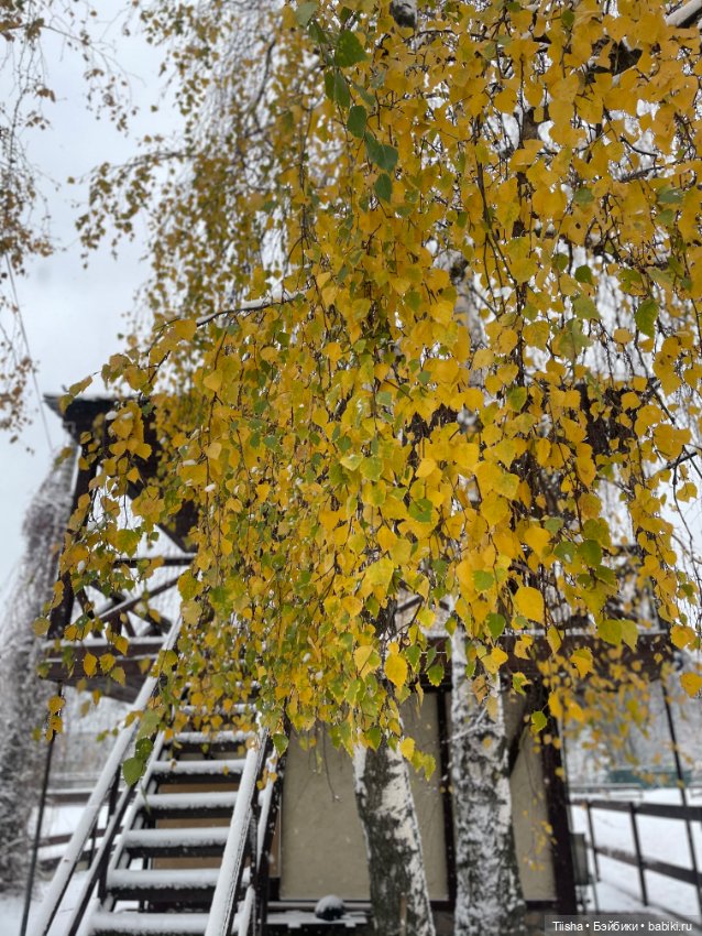 Первый снег (Бриана от Only Hearts Club)