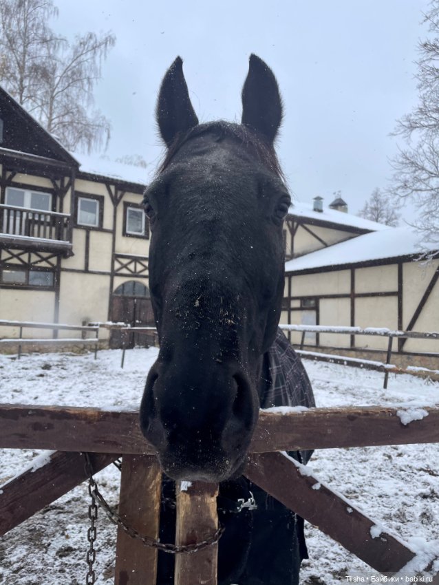 Первый снег (Бриана от Only Hearts Club)