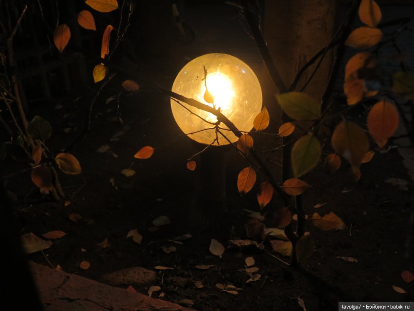 Две маленькие осенние феи