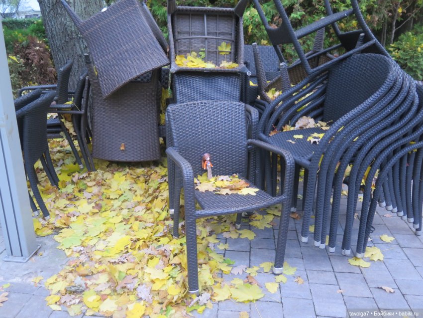 Две маленькие осенние феи