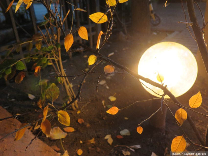 Две маленькие осенние феи