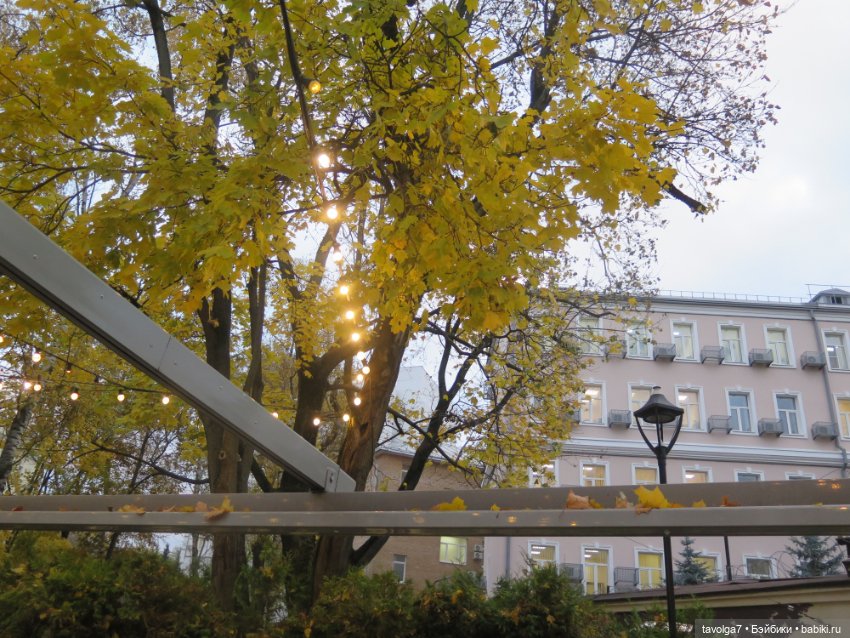 Две маленькие осенние феи (фото 7)