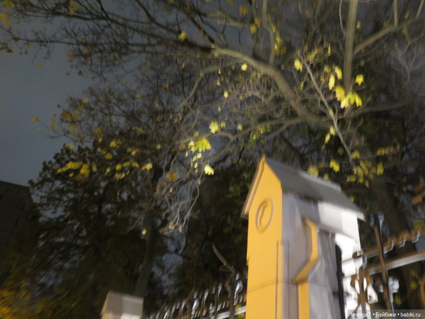 Две маленькие осенние феи