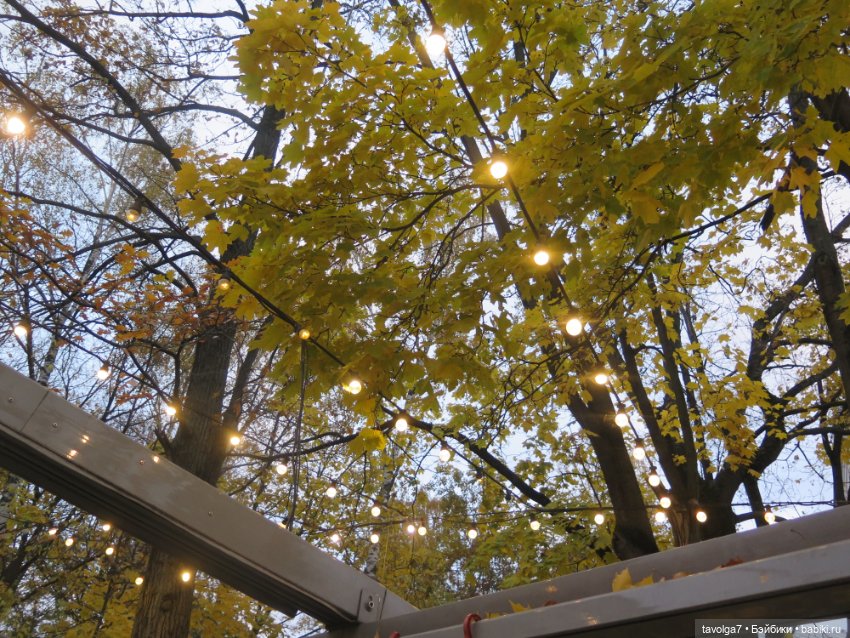 Две маленькие осенние феи