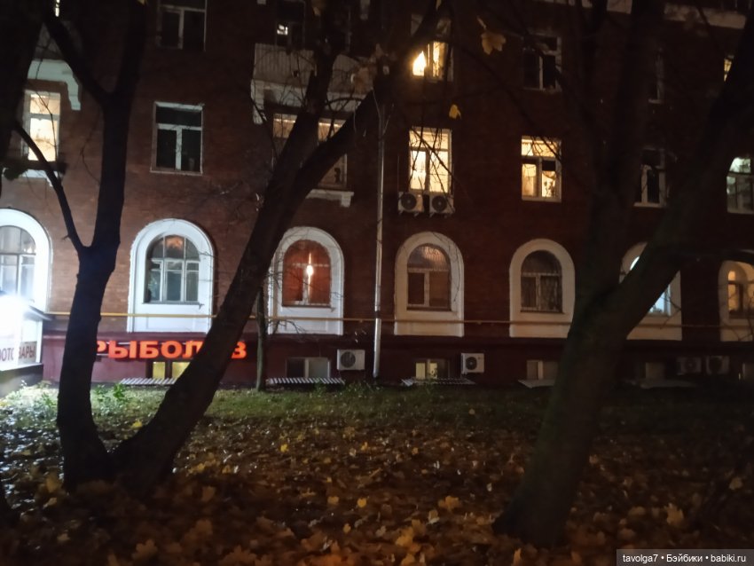 Вторая прогулка Ари по Москве