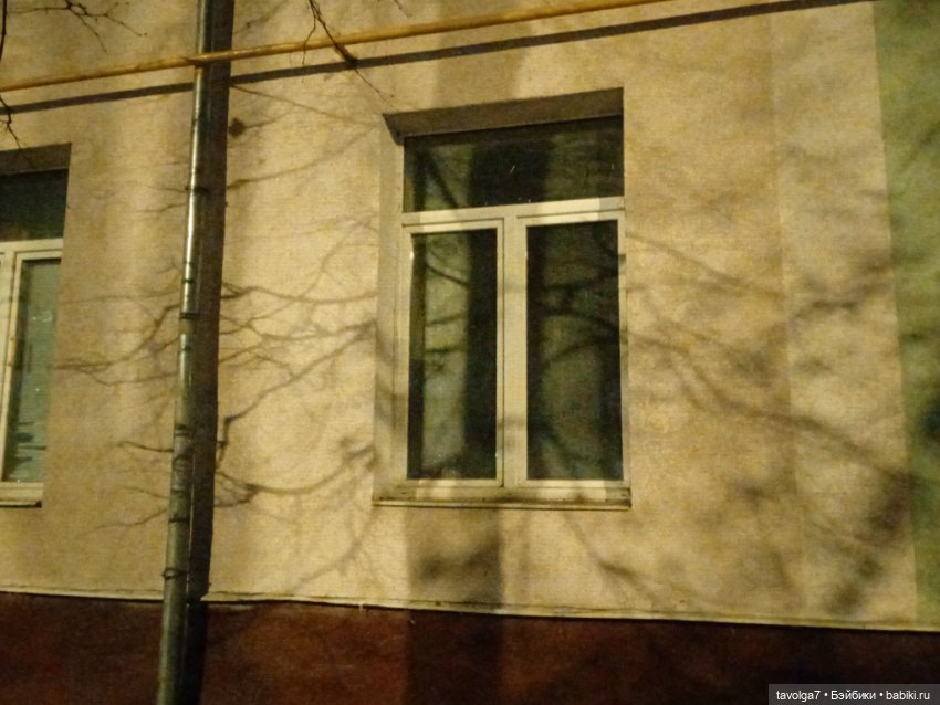 Вторая прогулка Ари по Москве