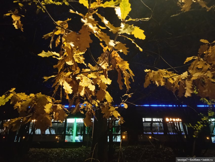 Вторая прогулка Ари по Москве (фото 8)