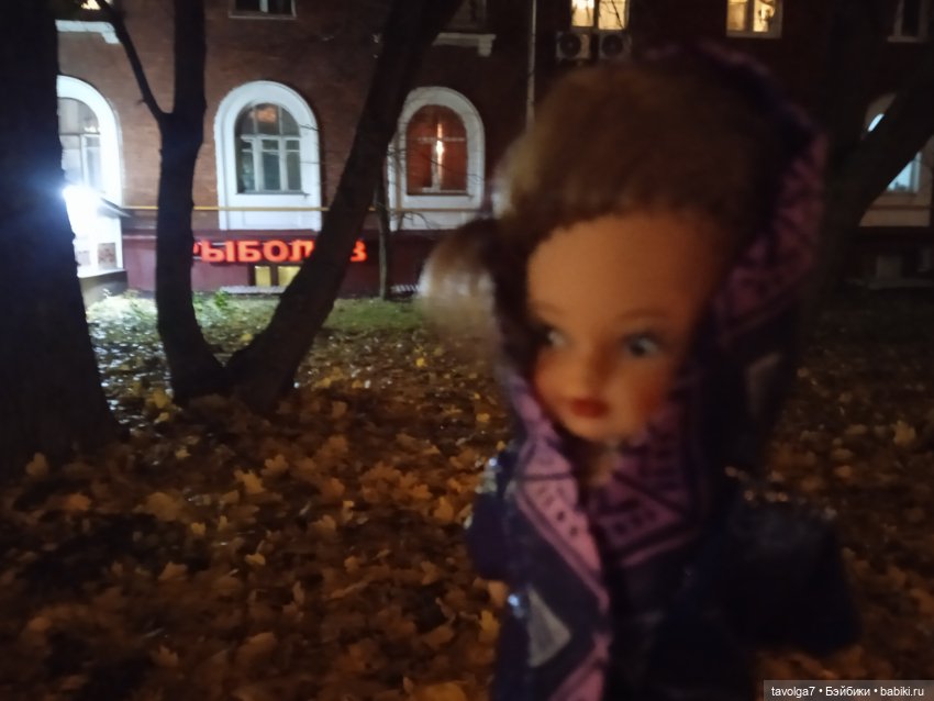 Вторая прогулка Ари по Москве