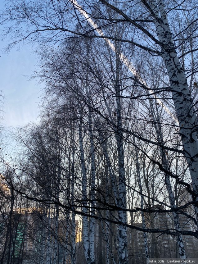 Прогулка в парке — Домашние фото авторских кукол: личные коллекции (фото 7)