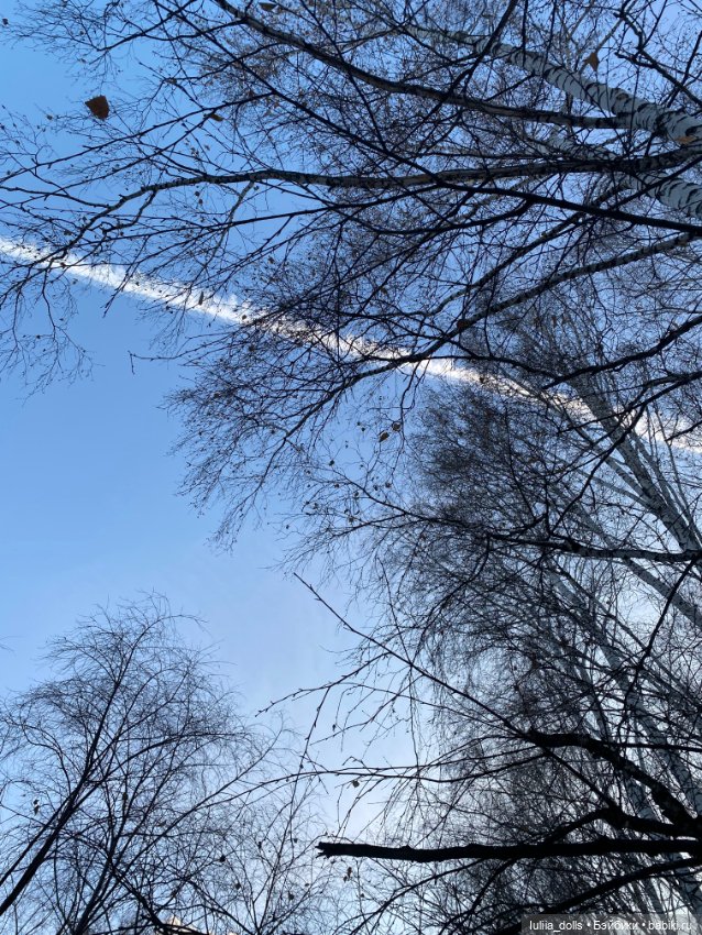 Прогулка в парке — Домашние фото авторских кукол: личные коллекции (фото 4)