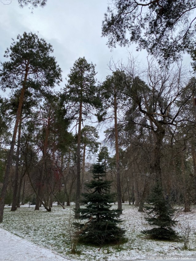 Прогулка в парке — Домашние фото авторских кукол: личные коллекции (фото 2)