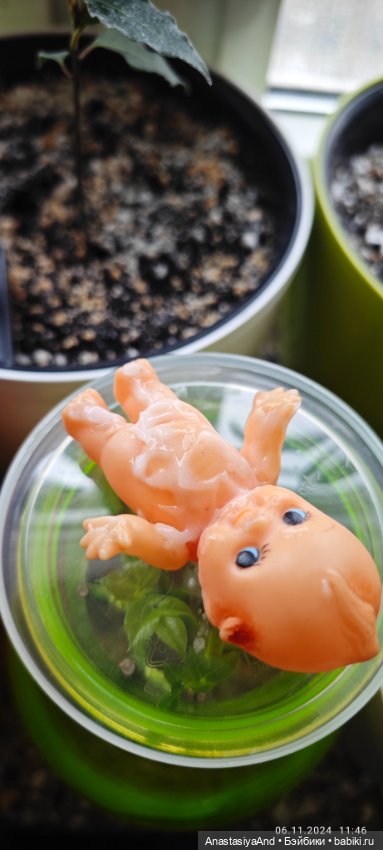 Приехали девочки и крокодил