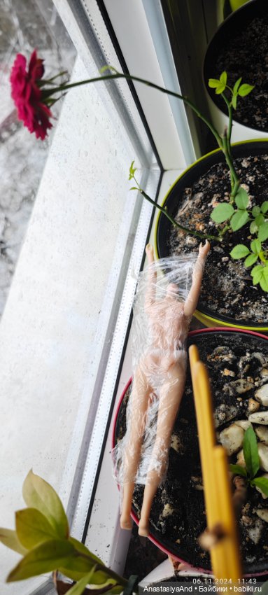 Приехали девочки и крокодил