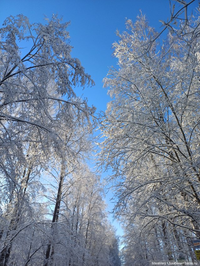 Снежное волшебство — Красивая природа и цветы: фото пейзажей